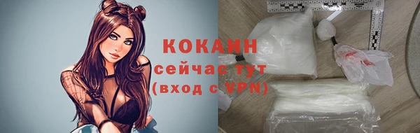 ешки Мегион